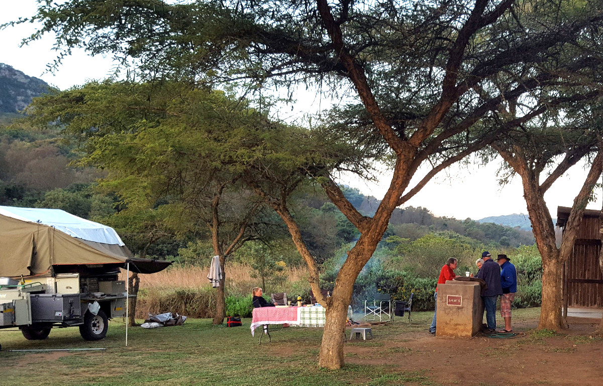 wake up under the acacias