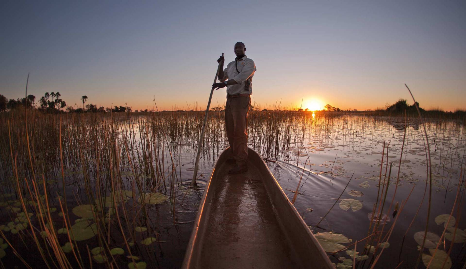 poled through the reeds at dusk